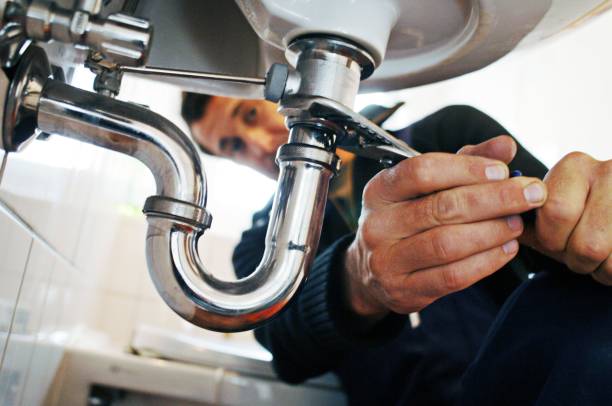 Best Local Plumber Services  in Reed City, MI