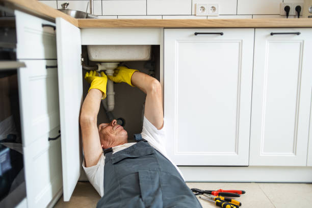 Best Water Softener Installation  in Reed City, MI