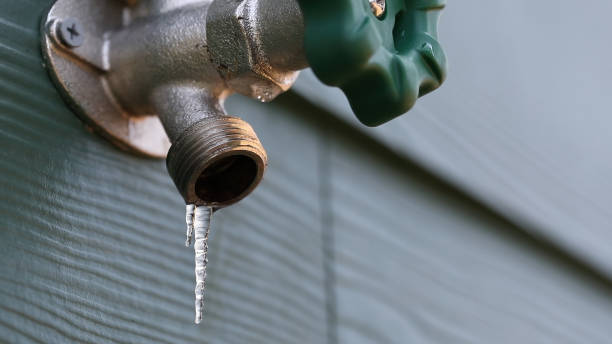Best Sewer Line Repair  in Reed City, MI