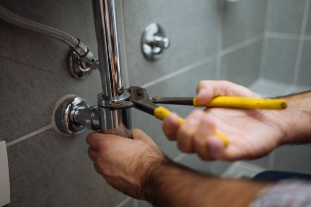 Best Drain Cleaning Services  in Reed City, MI