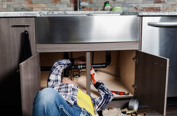 Best Commercial Plumbing Services  in Reed City, MI