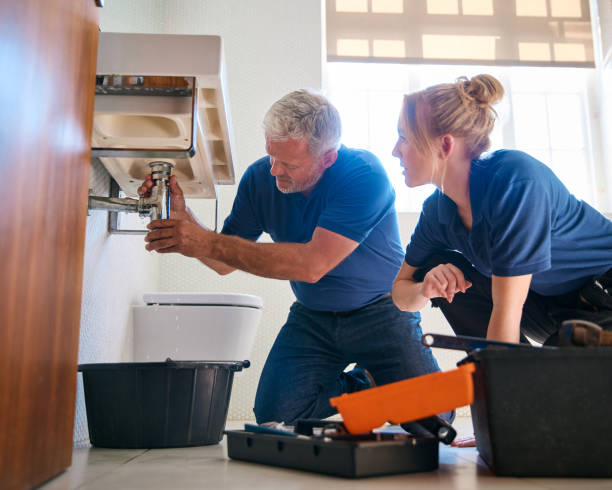 Best Same-Day Plumbing Service  in Reed City, MI