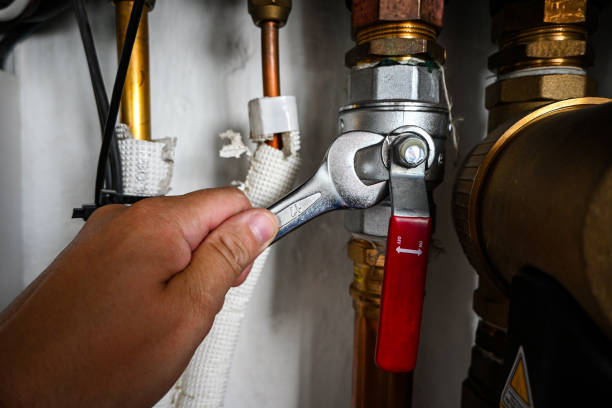 Best Hot Water Heater Installation  in Reed City, MI